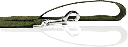 Nylon Dog Leash 4 Ft 5 Feet 6 Foot Long, Walking Training Dog Leashes for Medium Large Dogs, 1 Inch Wide (1" X 6 ft, Green)