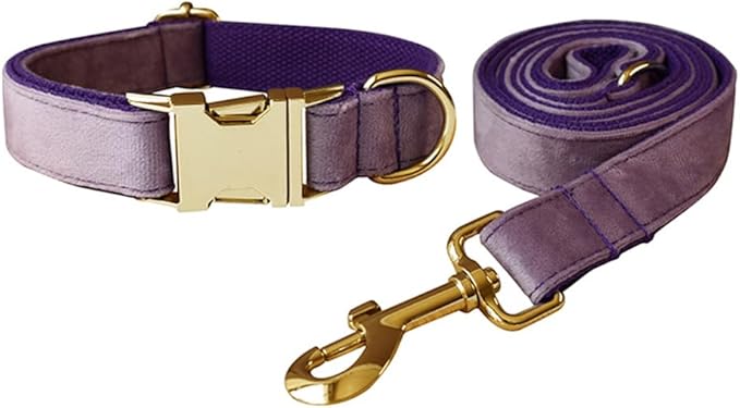 JAY D.L Dog Collar and Leash Set，Soft & Comfy Velvet Dog Collars with Heavy Duty Metal Buckle and Matching Lead Adjustable for Small Medium Large Dogs (XLarge, Purple)