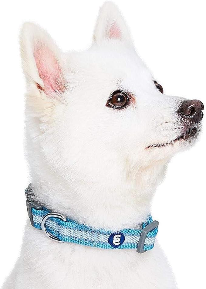 Blueberry Pet Essentials Matching Small Dog Collar | Adjustable Classic Solid Color Nylon Dog Collars for Small Dogs | Reflective Sky Blue Dog Collar for Small Dogs