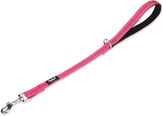 PUPTECK Reflective Dog Leash with Comfortable Padded Handle Durable Nylon Dog Lead for Small Medium and Large Dogs Cats Walking Running Training Outside, Hot Pink