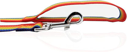 Nylon Dog Leash 10 Feet Long, Walking Training Dog Leashes for Medium Large Dogs, 1 Inch Wide (Rainbow)