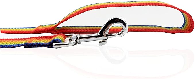 Nylon Dog Leash 16 Feet Long, Walking Training Dog Leashes for Medium Large Dogs（1" X 16 ft，Rainbow）