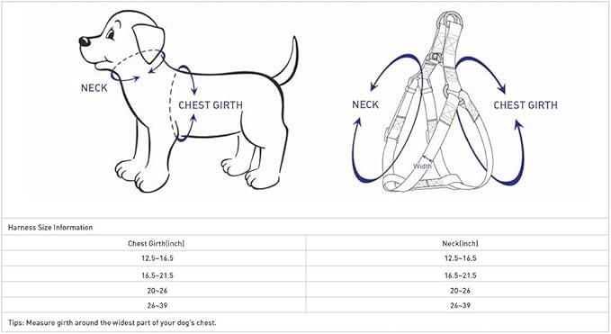Blueberry Pet Essentials Dog Harness and Leash Set - Large Orange Vermilion Dog Collar and Leash Set for Eco-Conscious Owners, Adjustable, Durable, 4 ft Leash, Ideal for Active Pet Parents