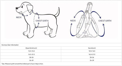 Blueberry Pet Essentials Matching Dog Collar Leash Harness Set in Verdant Green, Adjustable Classic Solid Color Nylon Collar with Harness & 5 ft Leash for Medium Dogs