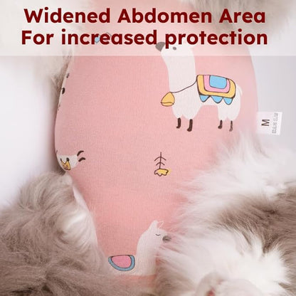 Hpetppy Cat Recovery Suit for Spay Abdominal Wounds, Breathable Cat Onesie for Cats After Surgery Female, Kitten Surgical Recovery Suit Female Cone of Shame Alternative for Cats Anti Licking