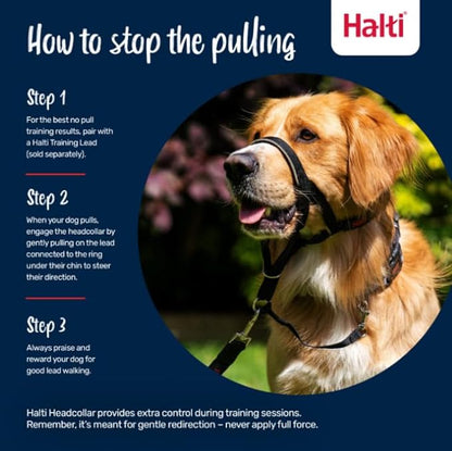 Halti Headcollar - Stop Your Dog Pulling on The Leash. Adjustable, Reflective and Lightweight, with Padded Nose Band. Dog Training Anti-Pull Collar for Small Dogs (Size 1, Cobalt Blue)