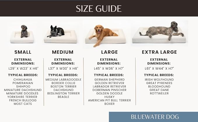 Bluewater Dog Luxury Boucle Orthopedic Memory Foam Dog Bed with Waterproof Liner and Machine Washable Cover with YKK Zippers (Large, 45" L x 36" W x 7" Th, Sand)