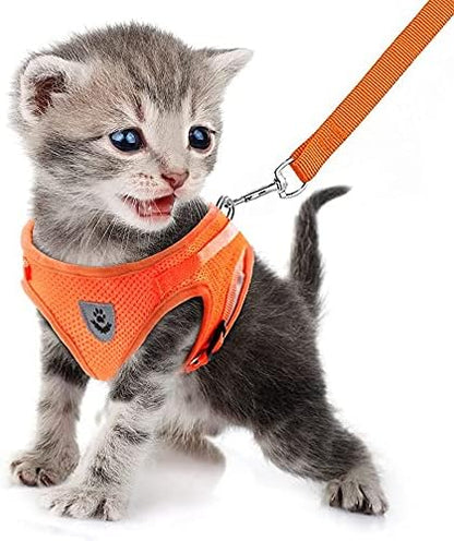 FEimaX Dog Harness and Leash Set for Walking, Soft Mesh Adjustable Easy Control Lightweight Cat Vest Harnesses with Reflective Strips, Escape Proof Small Dogs Cats Vests (Orange, X-Large)