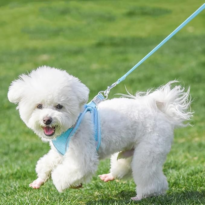 AIITLE Comfortable Dog Harness and Leash Set for Walking - Step in Vest Harness,Reflective Bands, Adjustable No Pull Puppy Essentials, for Small Dogs and House Cats Pure Blue XS