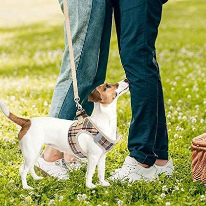 PUPTECK Adjustable Dog Harness Collar and Leash Set Step in No Pull Pet Harness for Small Medium Dogs Puppy and Cats Outdoor Walking Running, Soft Mesh Padded Reflective Vest Harnesses, Beige L