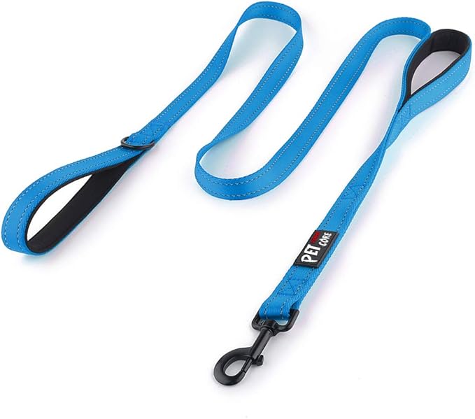 Plutus Pet Double Handle Dog Leash 5ft, Heavy Duty, Reflective Dual Handle Dog Leash for Safety Training, for Medium Large Dogs,2 Handle Leads(Blue)