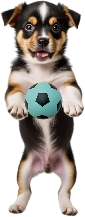 VisnzvLux 4 Pack Squeaky Balls for Dogs, 2.4 Inch Eco-Friendly Rubber Dog Squeaky Toy, Colorful Football Pattern Squeaky Toys for Dogs (Orange, Green, Pink, Light Blue)