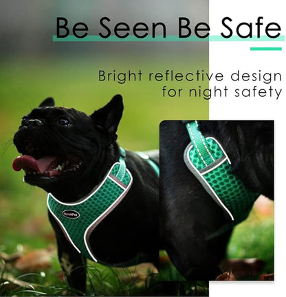 ThinkPet Reflective Breathable Soft Air Mesh No Pull Puppy Choke Free Over Head Vest Harness for Puppy Small Medium Dogs and Cats Teal Large