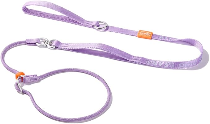 HowGo Slip Lead Dog Leash with Double Handles | Reflective Dog Training Leash with 360° Swivel Anti-Tangle | Heavy-Duty Lead and Collar for Large Medium and Small, No-Pull Walking (Lavender, 5.5FT)