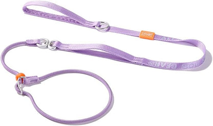 HowGo Slip Lead Dog Leash with Double Handles | Reflective Dog Training Leash with 360° Swivel Anti-Tangle | Heavy-Duty Lead and Collar for Large Medium and Small, No-Pull Walking (Lavender, 5.5FT)
