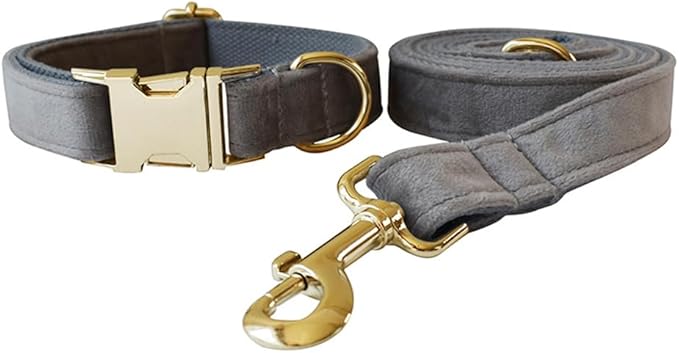 JAY D.L Dog Collar and Leash Set，Soft & Comfy Velvet Dog Collars with Heavy Duty Metal Buckle and Matching Lead Adjustable for Small Medium Large Dogs (Medium, Silver Grey)