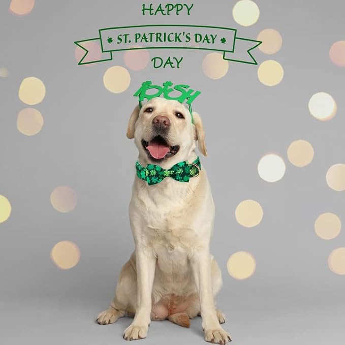 ARING PET St. Patrick's Day Dog Collar with Bow, Cute Adjustable Plaid Clovers Bowtie Pet Collars with Metal Buckle for Puppy Small Medium Large Boy Girl Dogs-XL