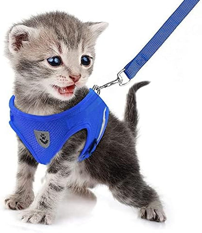 FEimaX Dog Harness and Leash Set for Walking, Soft Mesh Adjustable Easy Control Lightweight Cat Vest Harnesses with Reflective Strips, Escape Proof Small Dogs Cats Vests (Blue, Large)