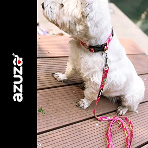 azuza Dog Collar and Leash Set, Pineapple Patterns on Nylon Collar and Matching Leash, Great Option for Medium Dogs
