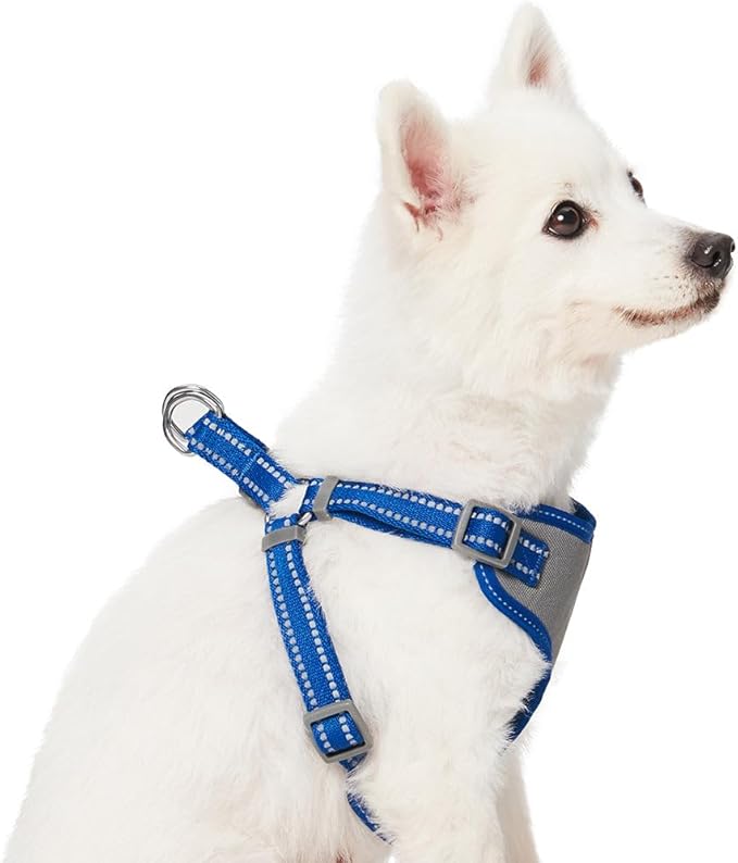 Blueberry Pet Pastel Colored Reflective Dog Harness with Seatbelt Clip – Adjustable No-Pull Pet Vest for Walking and Car Safety, Small Size in Navy Blue
