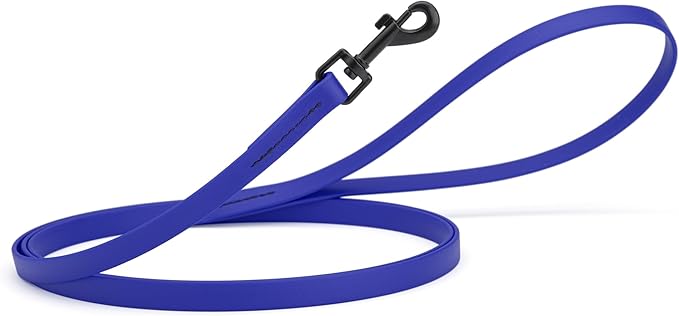 Dogline Biothane Waterproof Dog Leash Strong Coated Nylon Webbing with Black Hardware Odor-Proof Easy to Clean High Performance for Small or Large Dogs Made in USA 4 or 6 ft Lead, Blueberry Royal