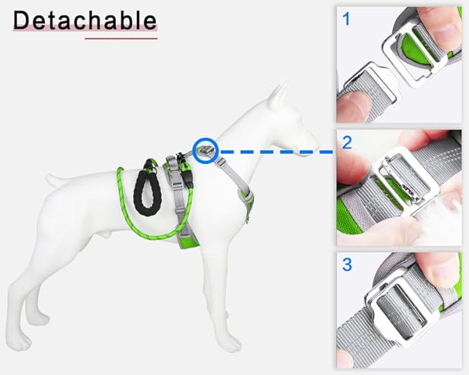 Paawpal Adjustable Dog Harness - No Pull, Reflective, Soft Padded for Small, Medium, Large Dogs - Includes Leash Green L