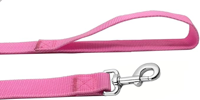 Strong Nylon Dog Leash, 4FT/ 5 FT/ 6FT Dog Leashes for Small Medium Dogs