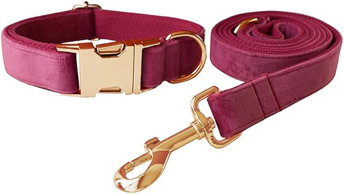 JAY D.L Dog Collar and Leash Set，Soft & Comfy Velvet Dog Collars with Heavy Duty Metal Buckle and Matching Lead Adjustable for Small Medium Large Dogs (Large, Rose)