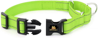 Plutus Pet Reflective Martingale Collar with Buckle - Durable and Adjustable Training Collar for No Pulling, Dog Choker Collar for Small Medium Large Dogs, Bright Green, M