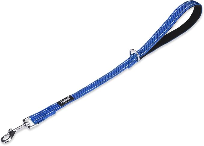PUPTECK Reflective Dog Leash with Comfortable Padded Handle Durable Nylon Dog Lead for Small Medium and Large Dogs Cats Walking Running Training Outside, Blue