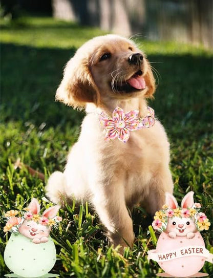 Unique style paws Easter Dog Collar with Bow Easter Eggs Chicken Collar with Flower for Small Medium Large Boys Girls Dogs