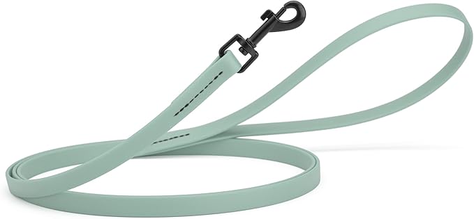 Dogline Biothane Waterproof Dog Leash Strong Coated Nylon Webbing with Black Hardware Odor-Proof Easy to Clean High Performance for Small or Large Dogs Made in USA 4 or 6 ft Lead, Sage Green