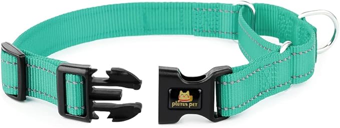 Plutus Pet Reflective Martingale Collar with Buckle - Durable and Adjustable Training Collar for No Pulling, Dog Choker Collar for Small Medium Large Dogs, Teal, XS