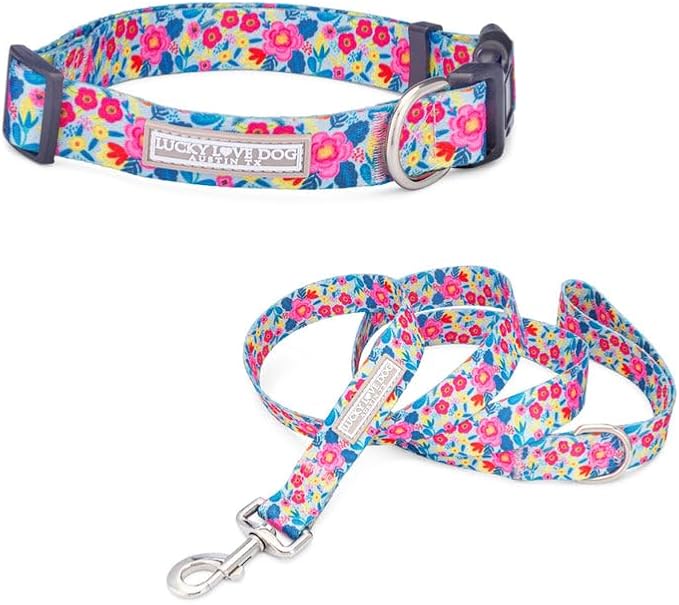 Lucky Love Dog - Adjustable Dog Collar and Leash Set with Easy Click Buckle for Small Dogs, Durable, & Comfortable Collar for Male & Female Dogs, Puppies & Adult Ones- Valentina Combo, Small