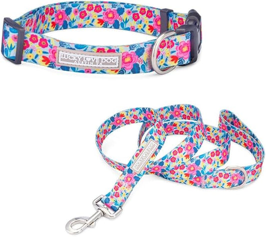 Lucky Love Dog - Adjustable Dog Collar and Leash Set with Easy Click Buckle for Small Dogs, Durable, & Comfortable Collar for Male & Female Dogs, Puppies & Adult Ones- Valentina Combo, Small