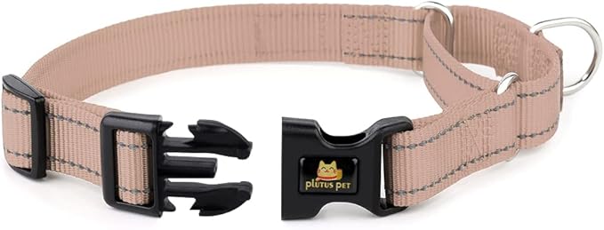 Plutus Pet Reflective Martingale Collar with Buckle - Durable and Adjustable Training Collar for No Pulling, Dog Choker Collar for Small Medium Large Dogs, Beige, XS