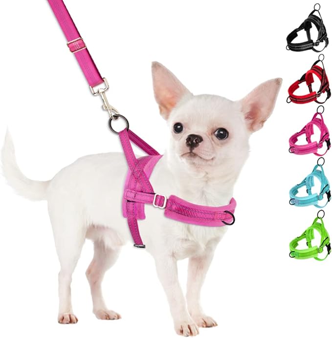 SlowTon No Pull Small Dog Harness and Leash Set, Puppy Soft Vest Harness Neck & Chest Adjustable, Reflective Lightweight Harness & Anti-Twist Pet Lead Combo for Small Medium Dogs (FU, M)