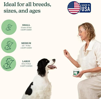 Reggie Anytime Calming Chews for Dogs | Natural Anxiety Relief with L-Theanine & Magnolia Barks | Calming Dog Treats for Separation Anxiety, Thunderstorms, Travel & Stress | 60 Soft Chews