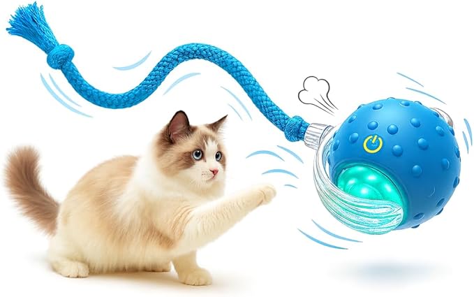 Interactive Cat Toy Ball for Indoor Cats – Fast Rolling on Carpet, Motion Activated with Chirping Sounds, Smart Play Toy (Turquoise)