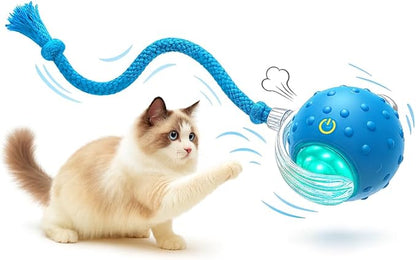 Interactive Cat Toy Ball for Indoor Cats – Fast Rolling on Carpet, Motion Activated with Chirping Sounds, Smart Play Toy (Turquoise)