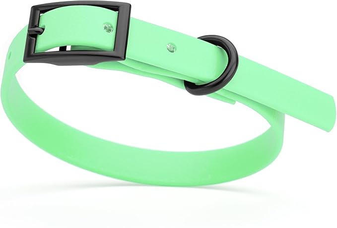 Dogline Biothane Waterproof Dog Collar Strong Coated Nylon Webbing with Black Hardware Odor- Proof for Easy Care Easy to Clean High Performance Fits Small Medium or Large Dogs, Sea Foam Green