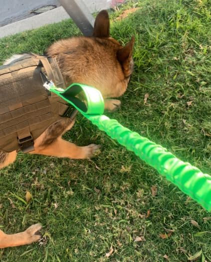 Heavy Duty Bungee Dog Leash - Shock Absorbing, Seat Belt Clip, Quick Release Frog Clasp, Double Padded Handles, for Large and Medium Dogs, Durable for Training, Walking, Car Safety, Outdoor Adventure