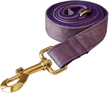 JAY D.L Dog Collar and Leash Set，Soft & Comfy Velvet Dog Collars with Heavy Duty Metal Buckle and Matching Lead Adjustable for Small Medium Large Dogs (Medium, Purple)