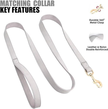 PET ARTIST Soft PU Leather Dog Collar and Leash Set, Bright & Stylish 5FT PU Leather Leash and Collar Set, Durable Pet Collars with Quick Release Metal Buckle for Small Dogs,Gray,S(9"-14")