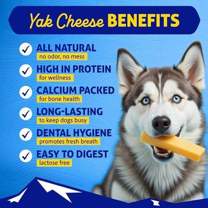 Himalayan Dog Chew for Big Dogs - Long Lasting, Stain Free, Protein Rich, Low Odor - Natural, Healthy & Safe - No Lactose, Gluten Or Grains - XXLarge for Dogs 75 Lbs & Larger - an Everest Sized Treat
