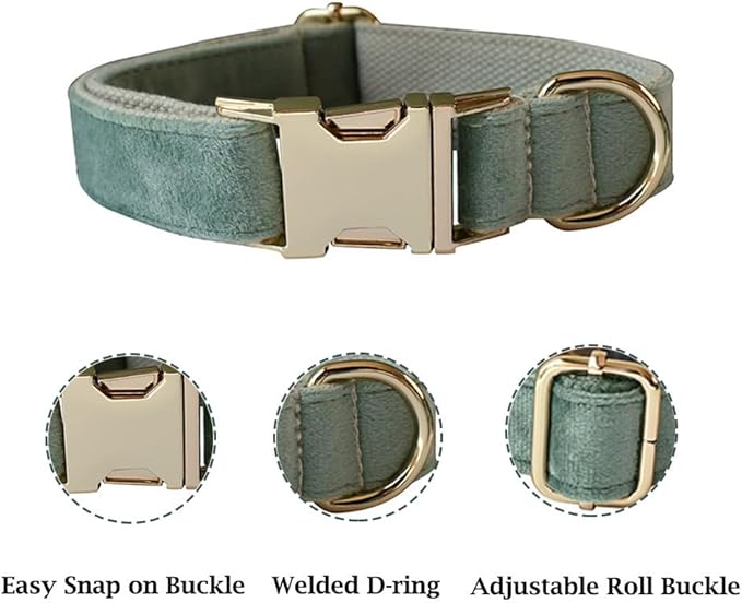 JAY D.L Dog Collar and Leash Set，Soft & Comfy Velvet Dog Collars with Heavy Duty Metal Buckle and Matching Lead Adjustable for Small Medium Large Dogs (Medium, Mint Green)