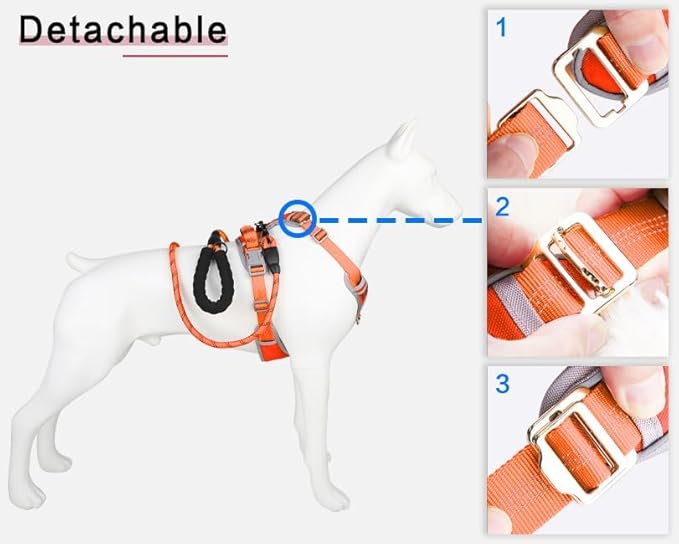 Paawpal Adjustable Dog Harness - No Pull, Reflective, Soft Padded for Small, Medium, Large Dogs - Includes Leash Orange XL