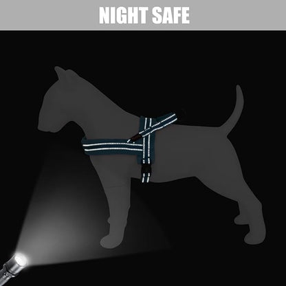 Didog Soft Flannel Padded Dog Vest Harness, No Pull/Quick Fit Reflective Dog Strap Harness, Easy for Training Walking (L:Chest 26-32", Blue)