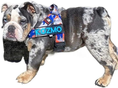 BULLHUG Adjustable Dog Harness– No Pull, No Choke – for English Bulldogs, French Bulldogs, Pugs & Broad-Chested Breeds – Easy, Safe Walks (Orange/Blue Camouflage, Large)