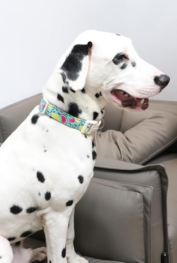 DOGWONG Cotton Dog Collar - Soft Natural Fabric Spring Summer Wedding Puppy Necklace for Small Medium Large Dogs